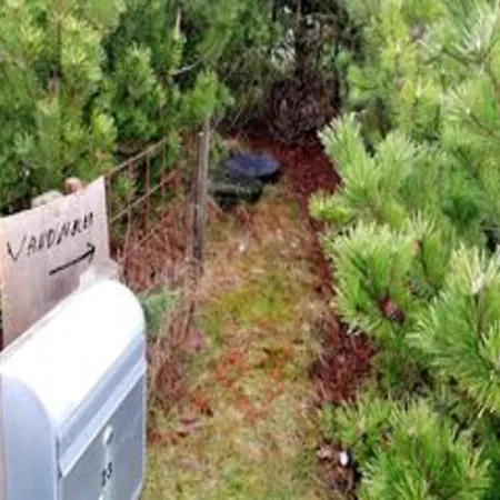 Vakantiehuis 4 Star In